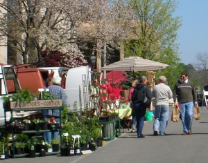 relaxshopn living a walkable distance from shops has many benefits
