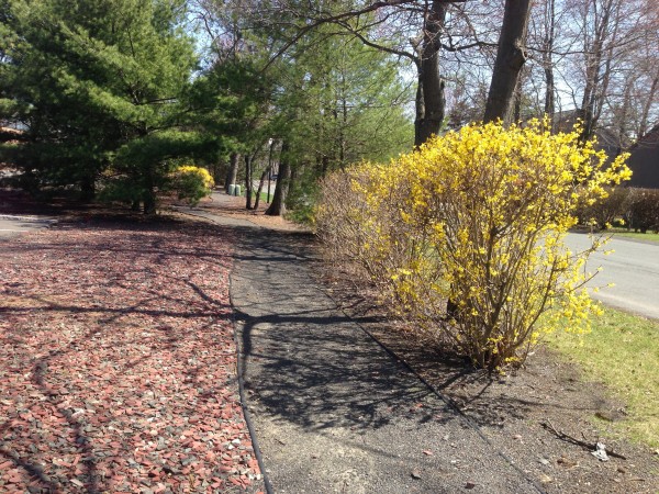 Great Oaks Jogging Path Great Oaks Jogging Path - Outdoor Albany Office Rental Amenities